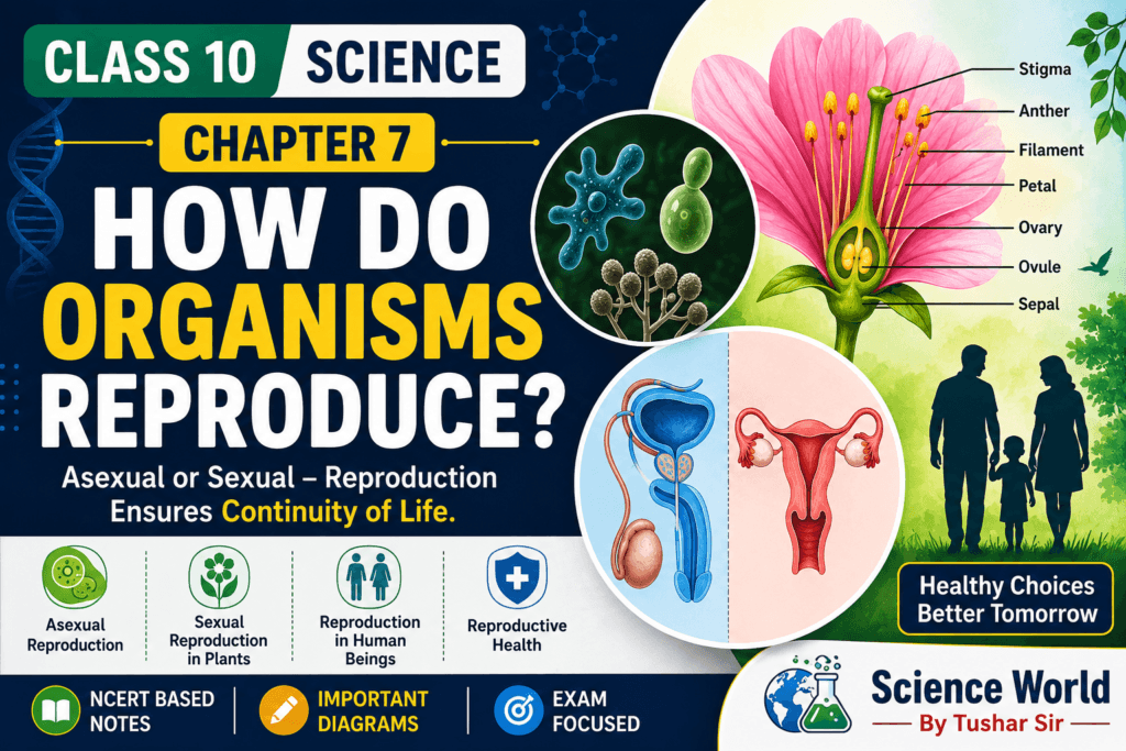 How Do Organisms Reproduce? Class 10 Notes Chapter 7 featuring asexual reproduction, sexual reproduction, flower structure, human reproductive system and reproductive health.